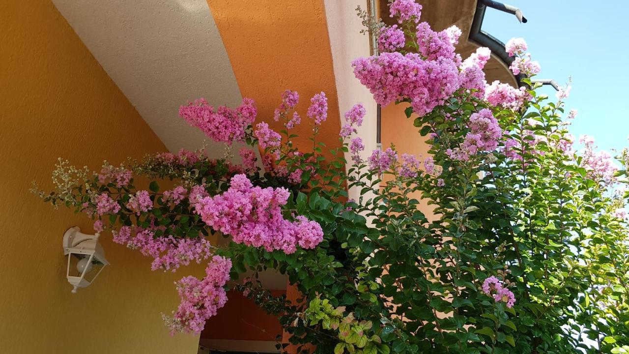 B&B Villa Giulia Desenzano del Garda Kültér fotó