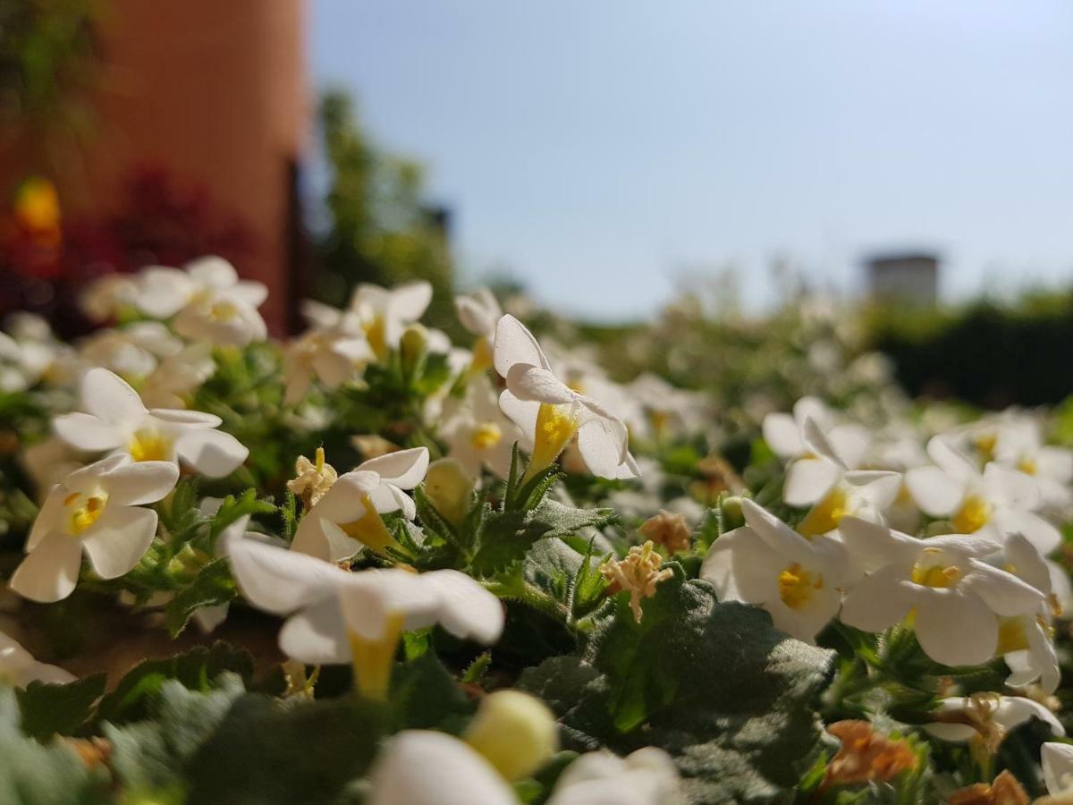 B&B Villa Giulia Desenzano del Garda Kültér fotó